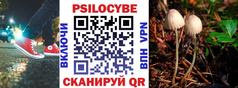 цена наркотик  Абаза  Галлюциногенные грибы ЛСД 
